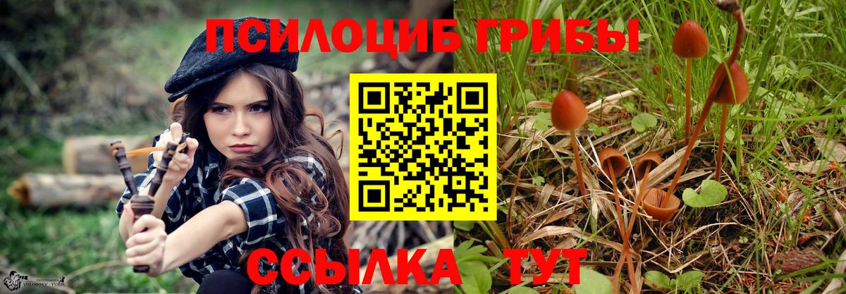 Псилоцибиновые грибы Magic Shrooms  Вход с VPN  Мичуринск 