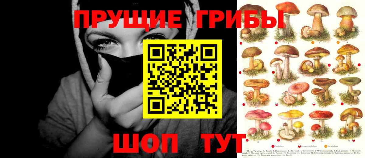 Галлюциногенные грибы Magic Shrooms Мичуринск